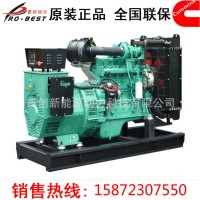 铂金斯电力系列柴油发电机组 厂家直销/SDP300