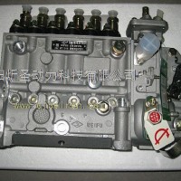 东风天龙东风康明斯6CT燃油喷射泵C3973900/C3973900