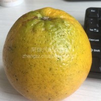 qqqqqqqqq/212122121221212