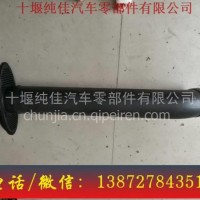 东风天锦1109710-KM5K0进气引入管 三环配件/大运配件等批发/东风天锦1109710-KM5K0