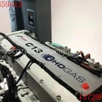 菲亚特Cursor13天然气发动机/菲亚特Cursor13天然气发动机