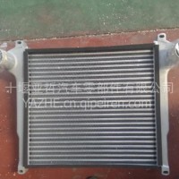 1118M-001-B东风柳汽龙卡霸龙乘龙散热器水箱中冷器/1118M-001-B