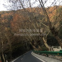 价格体系调整测试产品/111111