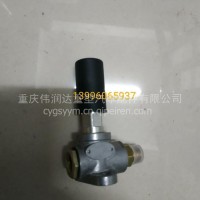 重庆铁马重型车输油泵/12354