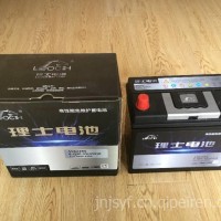 6-QW-45(450)L 理士电池/6-QW-45 (450)L 12V