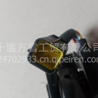 电子油门踏板/P24901180030-YC/YB