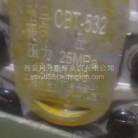 齿轮泵(液压泵)/液压齿轮泵
