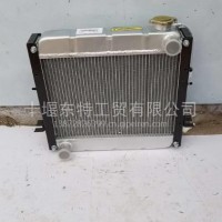 厂家直销东风小霸王水箱 型号SL49E-17020804C (3)/SL49E-17020804C