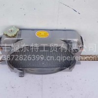 五征480水箱型号1101013100001水箱中冷器总成 (2)/1101013100001