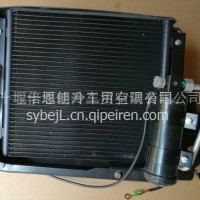 品牌老店质优价廉东风军车冷凝器总成/8105A06一05100
