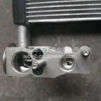 品牌老店质优价廉东风旗舰蒸发器/8103020-DC001