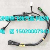 DZ97189774065陕汽德龙新M3000尿素箱模块线束/DZ97189774065