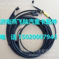 DZ97189774356 陕汽德龙新M3000寒区智能化柴油加热底盘线束/DZ97189774356