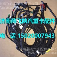 DZ97189775177陕汽德龙X3000发动机底盘线束/DZ97189775177