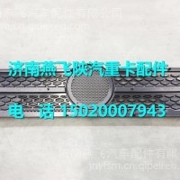 DZ14251110223陕汽德龙X3000前脸格栅 /DZ14251110223