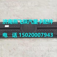 DZ14251110021陕汽德龙X3000前面罩格栅/DZ14251110021
