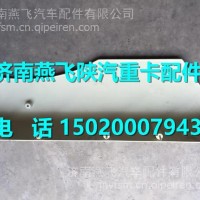 陕汽德龙新M3000左前翼子板DZ15221230415 /DZ22405410031