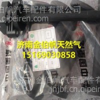 202V25919-0005重汽MT13曼天然气发动机点火线圈总成/202V25919-0005