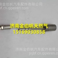 MA820046 20019788重汽福田轻卡发动机凯德斯尿素喷嘴/MA820046 20019788