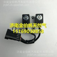 WG1034120181+002重汽国四尿素泵电磁阀/WG1034120181+002