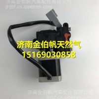 WG1034130181+004重汽国五尿素泵电机/WG1034130181+004
