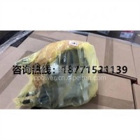 康明斯 QSL8.9-C360 燃油泵 C3973228 原装保证//东康C3973228