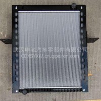 新疆专底原厂散热器总成/1301010-D31521Y