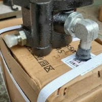 转向助力泵 转向油泵/1108934000086