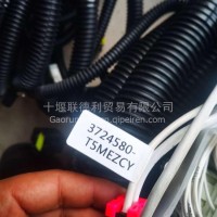 天然气原厂车架线束/3724580-T5MEZCY