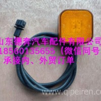 DZ93189810002陕汽德龙侧标志灯/DZ93189810002