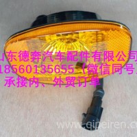 DZ96189812110陕汽德龙侧转向灯带护壳/DZ96189812110