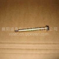 气缸盖罩螺栓（带制动）/D5010550313