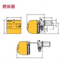 道森 单段火燃气燃烧器/TS/M