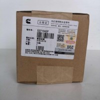 原厂 康明斯天然气发动机 燃油泵盖板/5371040F