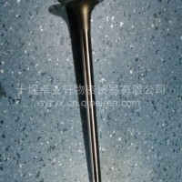 3417779排气阀M 11机的/3417779