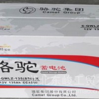 骆驼电磁6-QWLZ-135/6-QWLZ-135