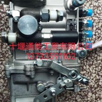 云内发动机原厂喷油泵/SHA110028
