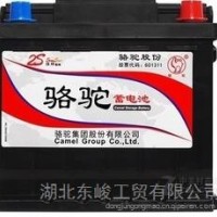 骆驼电池58500（6-QW-48）/58500