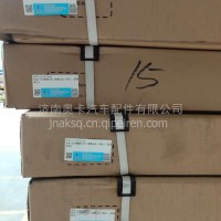 陕汽重卡德龙原厂配件X3000 X5000 M3000S L3000 H3000 原厂正品车门壳 车门总成/DZ14251210010