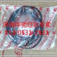 柳汽 前面罩拉锁/H51-8400370A