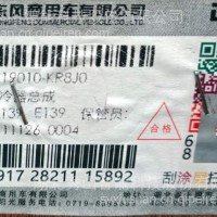 中冷器总成/1119010-KR8J0