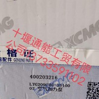 徐工机械原厂加力泵/400203216