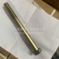 东风商用车整车六角头螺栓20X100天龙专用/290414-K2200