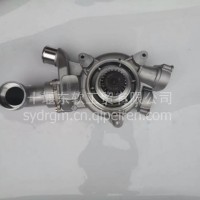 国产精品东风天龙雷诺国三水泵芯/1307DTB-030