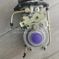 龙口龙泵VE1217 VE4喷油泵总成/11F1800LLD17