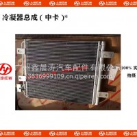 上汽红岩杰狮金刚冷凝器-中卡/5802295023