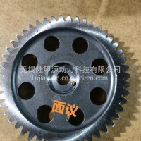 一汽解放锡柴发动机凸轮轴正时齿轮1006021－29D/1006021－29D