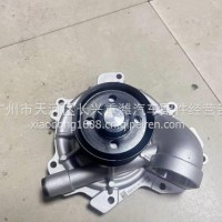 华菱汉马6D12发动机水泵/0000393832