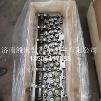 81DM电喷-气缸盖总成/QGGZC-81DM电喷