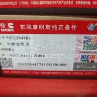喷油器/C5594305
